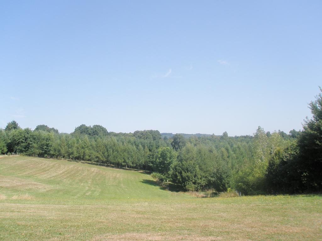 La Ferme De Leychoisier Bed & Breakfast Bonnac-la-Cote Bagian luar foto